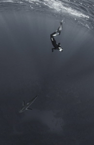 The photo captured the moment of the freediver's immersio... by Dmitry Starostenkov 